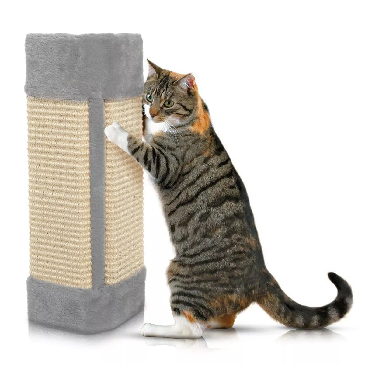 Cat Scratching Corner Post – Wall-Mounted Kitten Scratcher with Hanging Board