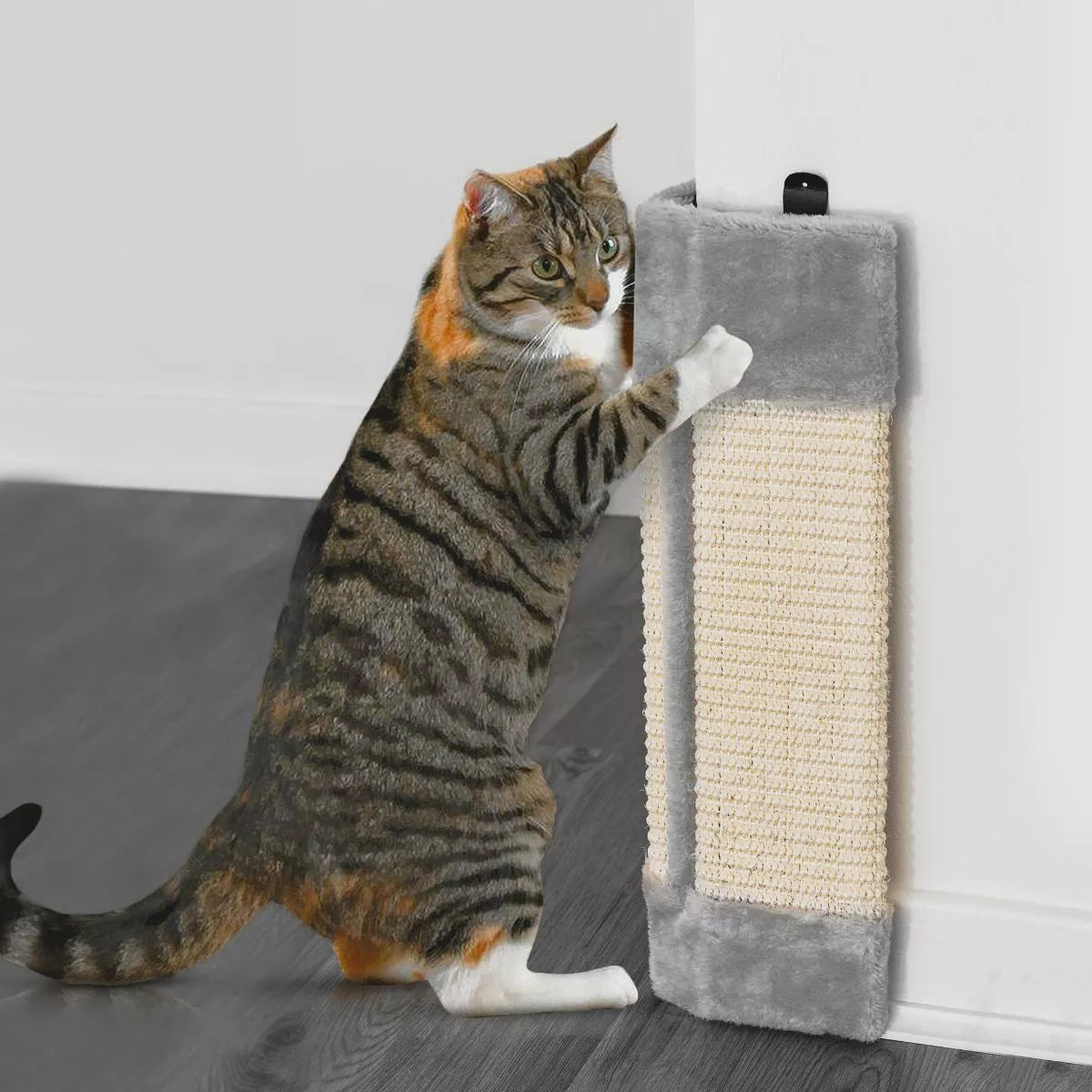 Cat Scratching Corner Post – Wall-Mounted Kitten Scratcher with Hanging Board